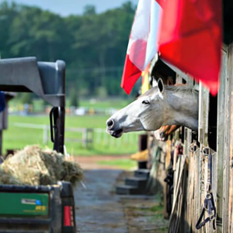 Learn how Purina delivers constant nutrition for your horse in every feed bag.