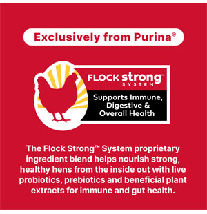Image of Flock Strong graphic