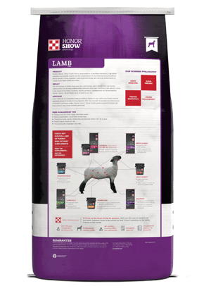 Image of purple and white show lamb feed bag back facing
