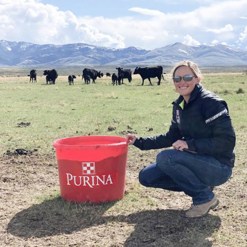 image of woman with cattle and a purina cattle tub