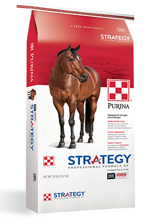 purina formula