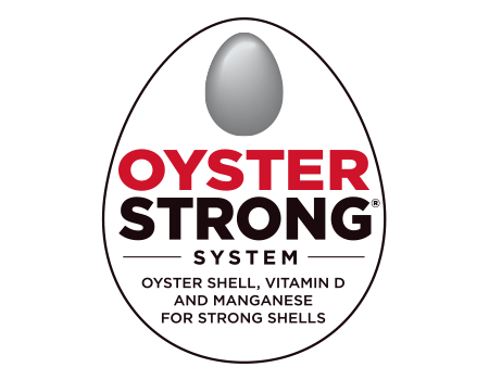 Oyster Strong System
