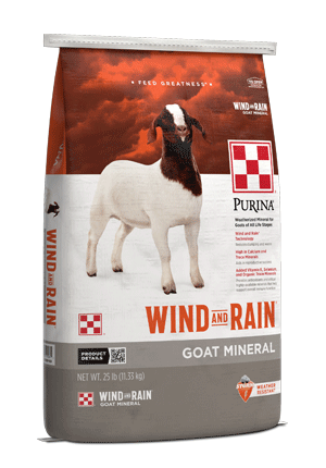 Image of gray and orange Wind and Rain Mineral For Goats package