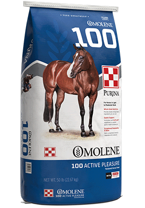 Image of Omolene #100® Active Pleasure horse feed bag
