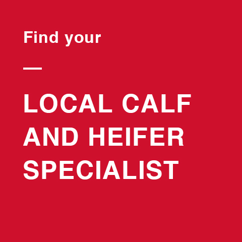 Find your local calf and heifer specialist