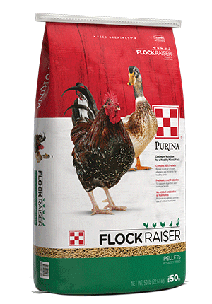 image of Purina® Flock Raiser® Pellets bag