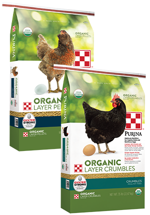 Image of Purina® Organic Layer Pellets or Crumbles poultry feed package