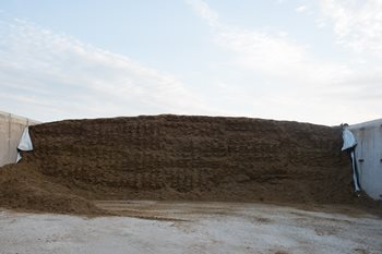 A well-managed silage face can help ensure quality during feedout.