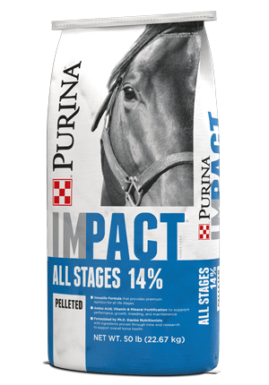 Impact All Stages 14% horse feed right facing bag