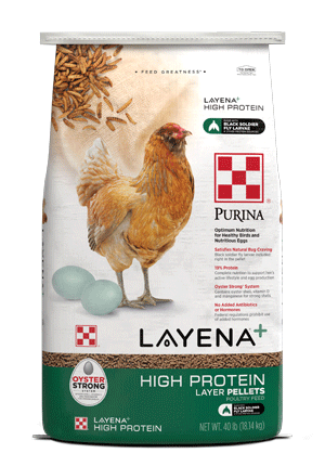 Purina Organic Layer Pellets or Crumbles poultry feed