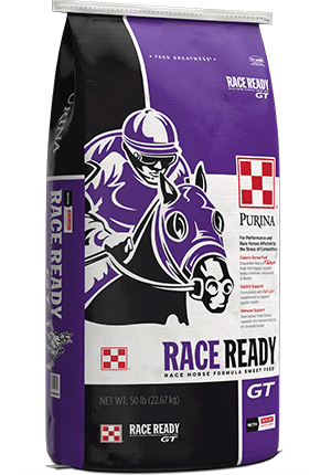 Race Ready GT Performance Horse Feed bag