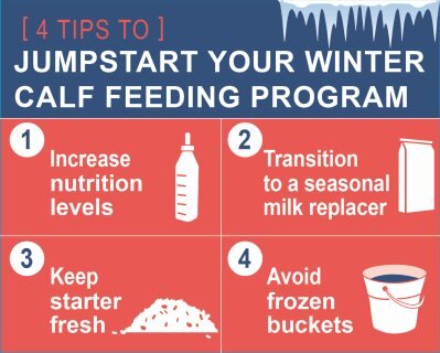 Jumpstart your winter calf feeding program with increased nutrition levels, seasonal milk replacer, fresh starter and avoiding frozen buckets.