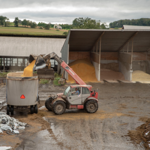 Next to an open-sided commodity shed, a skid steer dumps a commodity into a total mixed ration (TMR) feed mixer.  