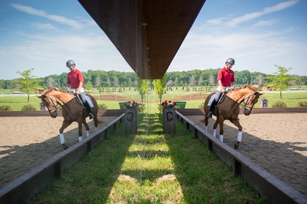 image of Boyd Martin preparing for the Olympic Games