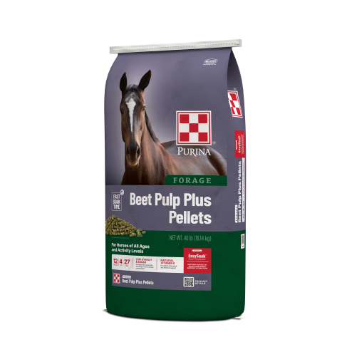 Image of Beet Pulp Plus Pellets for horses right view