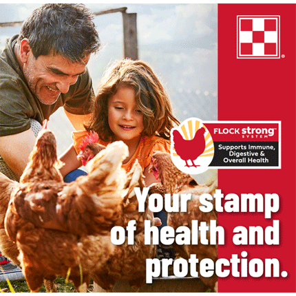 Image of red and white of child and man with chickens