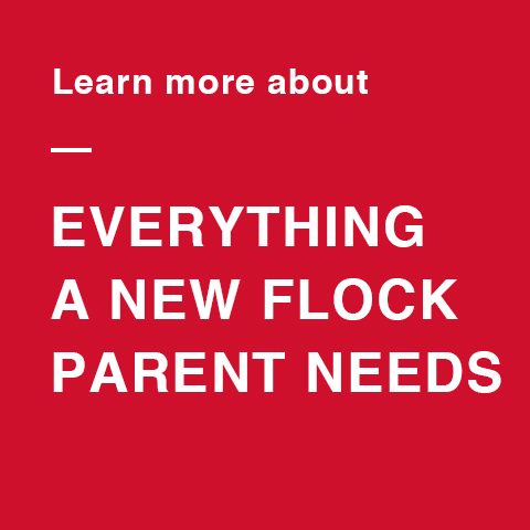 image for everything new flock parents need