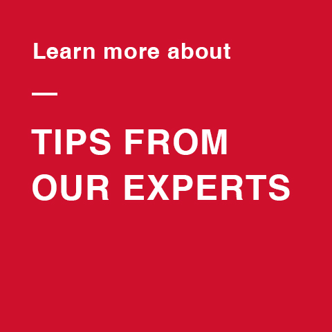 Cattle management tips from Purina experts