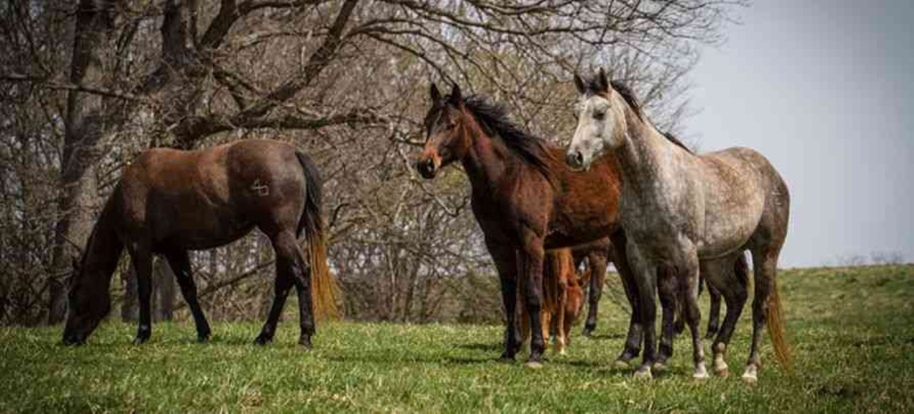 Chris standing up holding his daughter Elva