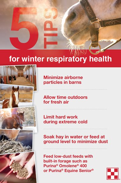 5 tips for winter respiratory health infographic.