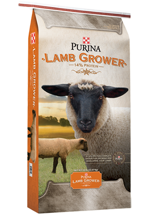 Image of Purina® Lamb Grower feed bag