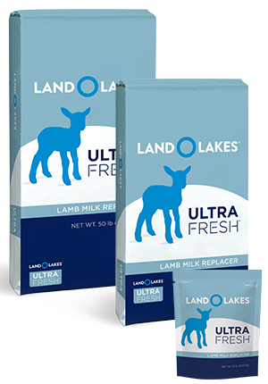 Image of Ultra Fresh Lamb Milk Replacer bag