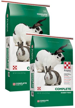  Versele-laga Complete All-in-One Adult Rabbit Food, 3 lbs. :  Pet Supplies