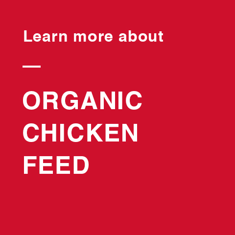 Image for Flock Oraganic Campaign