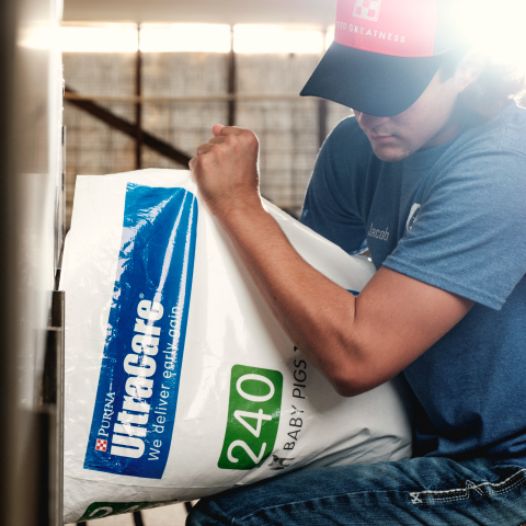 A man pours a bag of pig starter feed into a feeder in a commercial grow-finish barn