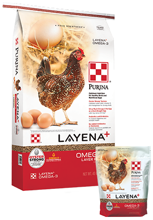 Layena+ Omega 3