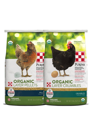 Purina® Organic Layer Feed