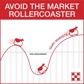 Avoid the dairy market rollercoaster by implementing a risk management strategy.