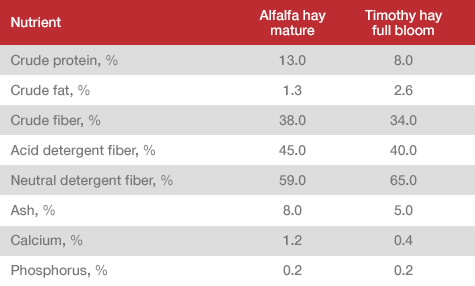 table of nutrients in alfalfa hay vs timothy hay