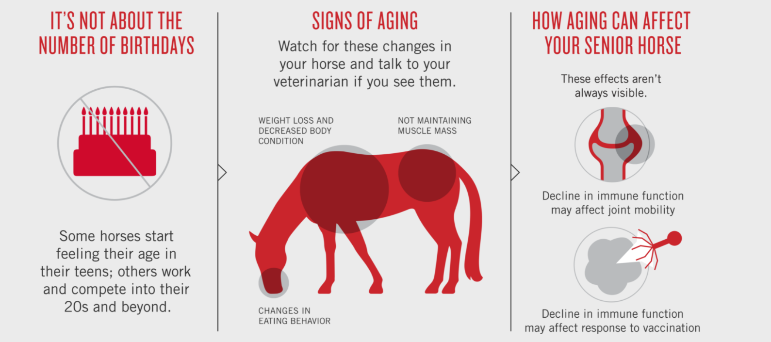 Infographic_UpdateSenior