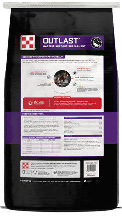 Outlast Horse Feed Gastric Support Supplement bag back facing