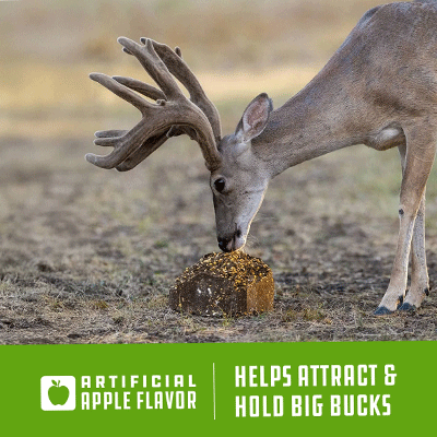 Image of deer eating a block