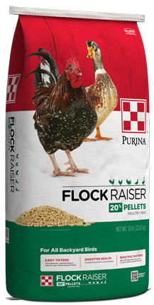 image of Purina® Flock Raiser® Pellets bag