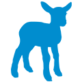 Lamb icon