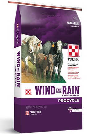 Purina® Wind and Rain® ProCycle™ elite cattle mineral 