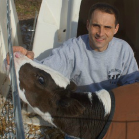 image of a man with a dairy calf