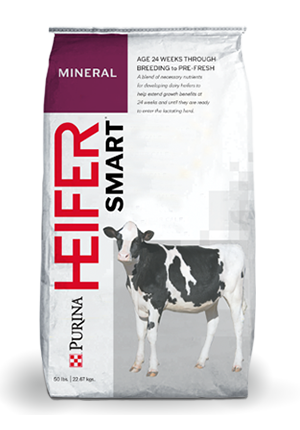Image of HEIFERSMART® DD Mineral feed bag