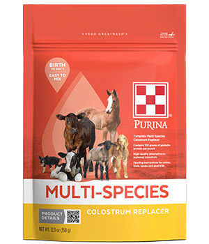 Image front of Purina Multi Specie Colostrum Replacer