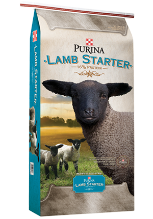 Purina lamb starter complete 16% protein lamb feed bag image