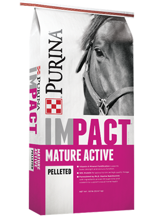Impact Mature Active pelleted horse feed provides the necessary calories and nutrients