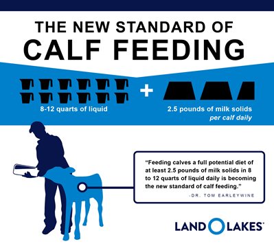 The new standard of calf feeding is 2.5 pounds of milk solids in 8-12 quarts per day.
