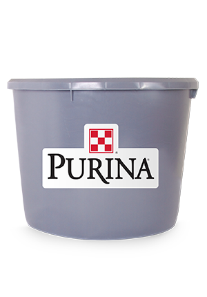 Purina® HEIFERSMART® Booster Tub + Fly Control