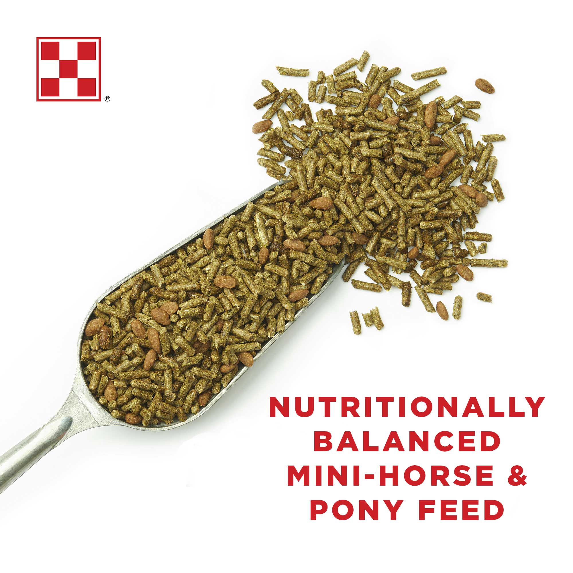 Image of Miniature Horse and Pony feed