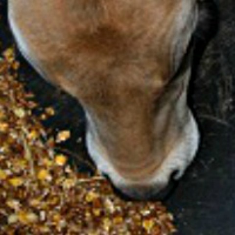 AMPLI-CALF® Program is a complete calf nutrition package