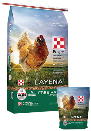 Purina Organic Layer Pellets or Crumbles poultry feed
