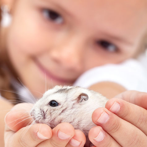 image of a girl holding a small animal 